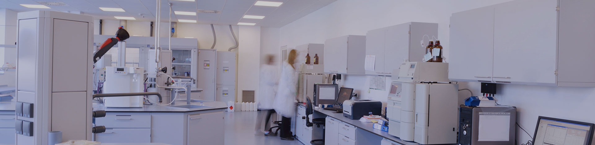 我們的團(tuán)隊(duì)